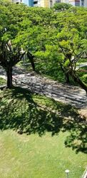 Blk 117 Kebun Baru Heights (Ang Mo Kio), HDB 4 Rooms #559815851